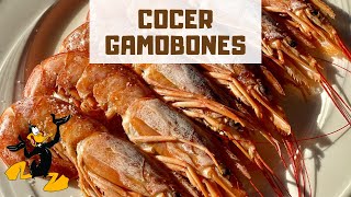 3 TRUCOS para Cocer Gambones 🦐 ¡RECETA CON GAMBONES [upl. by Navada]