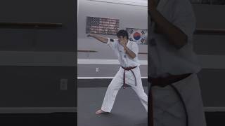 Taekwondo Striking amp Combinations  Hand Techniques shorts [upl. by Annekcm]