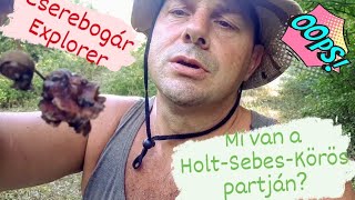 Mi van a mai HoltSebesKörös partján 4 rész  Cserebogár Explorer [upl. by Akenat712]