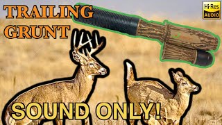 Sound Only Young Buck Trailing Grunt Call Play While Hunting Flextone “The Extractor” Deer Call [upl. by Auqcinahs]