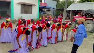 Best Tharu Cultural Video  New Tharu Sakhiya Nach  Tharu Video  village cultural video [upl. by Nylahsoj818]