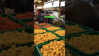 Flower market Gudimalkapur Hyderabad 🌸flowers flowermarket hyderabad gudimalkapurflowermarket [upl. by Lubbock]