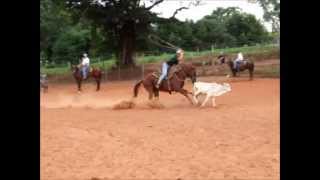 Treino de laço de bezerro Fazenda SJP [upl. by Christye254]