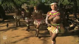 BAILES AFRICANOS AFRICAN DANCES [upl. by Yaned819]