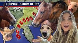 Preparing For HURRICANE DEBBY With All My Pets [upl. by Mich330]