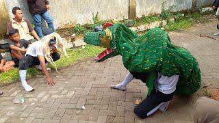 Ular naga mencari mangsa ptjm kejagan [upl. by Etan574]