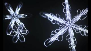 Sixsided snowflakes bloom in slow motion [upl. by Giddings723]