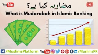 What is Mudarabah Mudarabah in Islamic Banking in UrduHindi by Muslims Platform [upl. by Erland572]