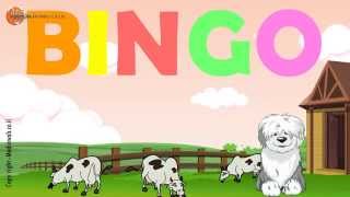 BINGO  Dog Song  Nursery Rhyme With Lyrics  Cartoon Animation Rhymes amp Songs for Children [upl. by Eamon]