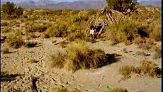 Native American Story of Mono Lake Paiute Indians [upl. by Tamera]