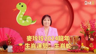 麦玲玲：2024龙年生肖蛇的整体运势 [upl. by Kcirdot]