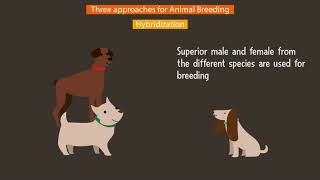 Animal Breeding  Biotechnology [upl. by Llebasi]