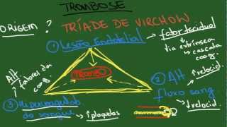 Trombose e Embolia  Resumo  Patologia Geral [upl. by Ajssatan]