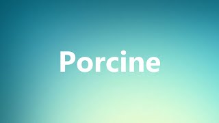 Porcine  Medical Meaning and Pronunciation [upl. by Raskind14]