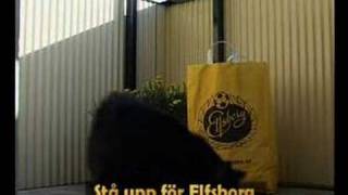 Stå upp för Elfsborg [upl. by Deering]