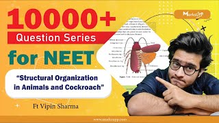 10000 Questions Series for NEET  Structural Organization in Animal  NCERT Based Question Practice [upl. by Nahn28]