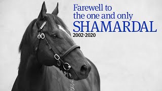 Farewell to the one and only Shamardal [upl. by Aillemac15]