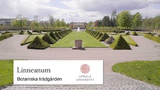 Linneanum  Botaniska trädgården i Uppsala [upl. by Grove]