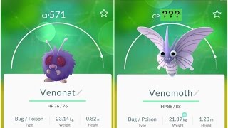 Pokemon Go Venonat571 Evolution to 1000Venomoth [upl. by Costanza]