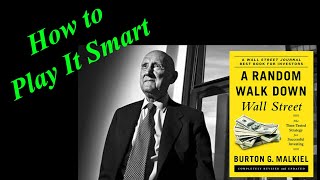 How to Reap Big Returns Safely A Random Walk Down Wall Street Audiobook Ch 9 Sum Burton Malkiel [upl. by Mcnelly]