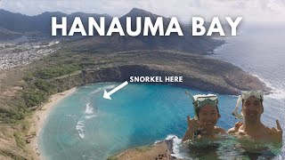 Hanauma Bay Best Snorkelling 2024 [upl. by Cherice303]