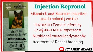 Injection Repronol uses in hindi  Vitamin E and Selenium  Repeat breeding  Infertility  बांझपन [upl. by Peckham618]