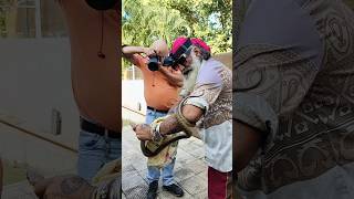 Snake Rescue snake snakevideo snakes rescue freetofly shorts [upl. by Welton]