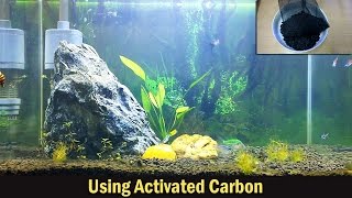 Using Activated Carbon in Aquariums [upl. by Nelubez]