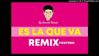 LOS NOTA LOKOS  ES LA QUE VA REMIX FIESTERO DJ GONZALO TAMAÑO [upl. by Ayortal]