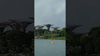 Gardens by the Bay Singapores Garden gardensbythebay singapore [upl. by Hertz]