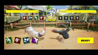 Rooster Rumble Cock Fight Yokohama vs Azil Epic Fight Toe to Toe fight [upl. by Lynn]