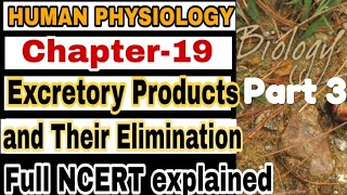 NCERT Ch19 Excretory Products and their elimination Class XI Human Physiology lecture 3 Boards [upl. by Devol]