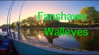 Fanshawe walleye Big Fish [upl. by Wanids766]