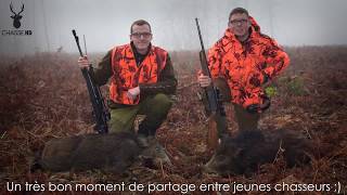 Chasse en Battue de Sangliers  Scènes de Chasse au poste  Chasse HD [upl. by Nosrak]