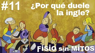 ¿Por qué duele la ingle  Fisio sin Mitos  11 [upl. by Carilla840]