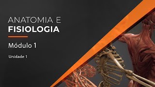 Anatomia e Fisiologia Humana [upl. by Ayanad713]