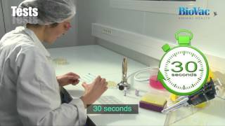 How to serotype bacteria by Rapid Plate Agglutination Test [upl. by Yspyg]