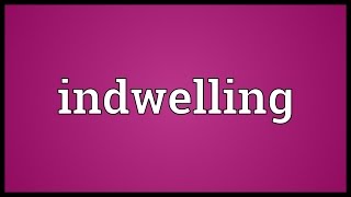 Indwelling Meaning [upl. by Letsirk]