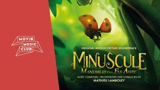 Mathieu Lamboley  Air Coconut Chase  From the movie quotMinuscule Mandibles From Far Awayquot [upl. by Hendrika]