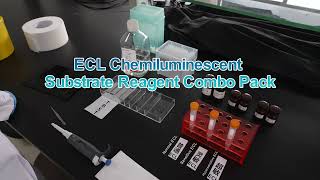 ECL Chemiluminescent Substrate Reagent Combo Pack G2161 [upl. by Pimbley]