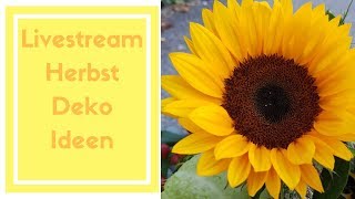 Livestream 43 Herbstdeko selber machen Ideen vom Blumenmann Live [upl. by Argent]