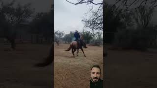 Mis respetos 🤠 roping ranchlife horse [upl. by Fosdick]