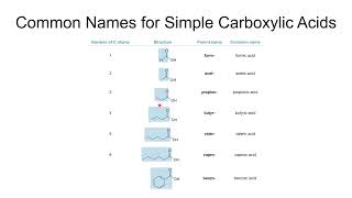 Organic Chemistry II CHEM2425 Ch 19 Carboxylic Acids and Nitriles Part 1 [upl. by Anaed]