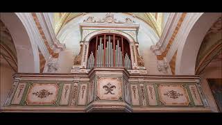 Riccardo Gnudi plays the 1551 Onofrio Zeffirini organ in Pieve Santo Stefano Italy [upl. by Merdith]