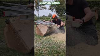 Chainsaw milling Honey Locust Gleditsia with Stihl ms441 stihl milling chainsawman homestead [upl. by Bowman969]