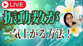 振動数が一気に上がる方法🐉⏫月収7桁思考に導く起業サポートたまちゃん がライブ配信中！ [upl. by Llyrad]