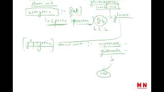 LEC ON AMINO ACIDPROTEINFATTY ACID amp VITAMINS BY [upl. by Rob709]