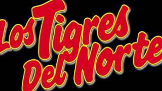 Tigres del Norte  Si No Me Falla El Corazón [upl. by Airekat]