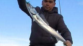 Hawkes Bay Surfcasting [upl. by Mellisent]