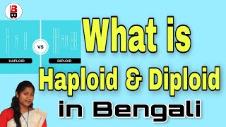 What is Haploid and Diploid Cell in BanglaHaploid Vs Diploidfull explanationBong Biologist [upl. by Neela99]